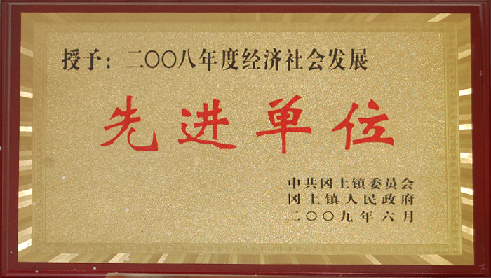 2008年度經(jing)濟社會發展先(xiān)進單位